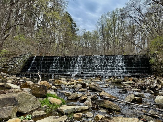 Picture 8 of Seven Step Dam Loop Hike