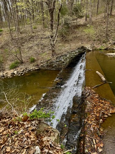 Picture 4 of Seven Step Dam Trail