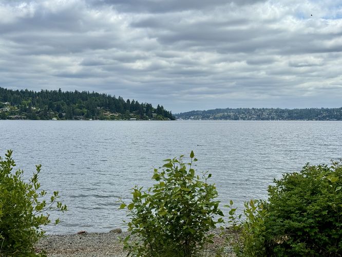 Seward Park Walk - Seward Park Walk album