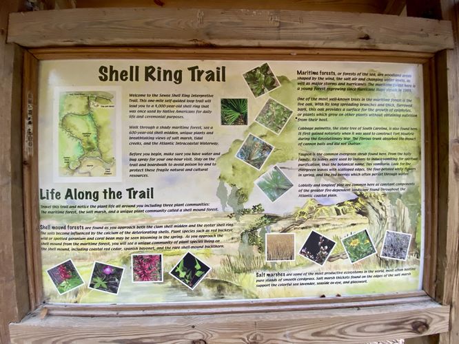 Shell Ring Trail info