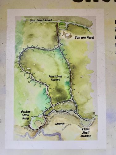 Sewee Shell Ring Trail map