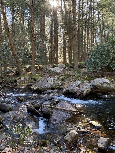 Scenic Sand Spring Run