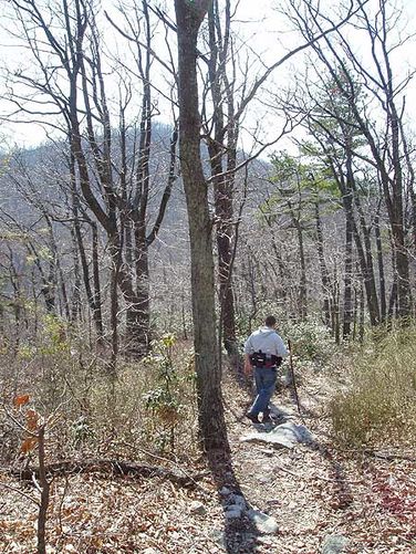 Picture 6 of Shawl Gap Hike 030704