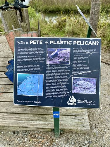 Pete the Plastic Pelican information