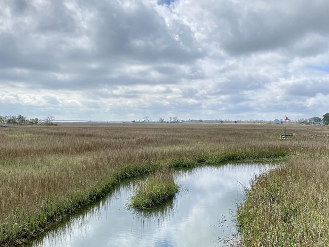 View of the marsh from the boardwalk