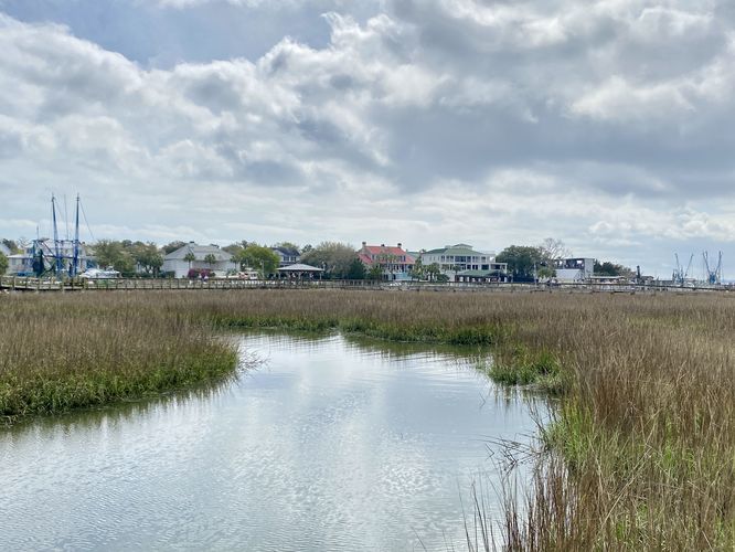 View of the boardwalk, a tributary marsh creek, and houses along Shem Creek