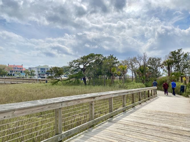 Boardwalk reaches the "island" in the marsh