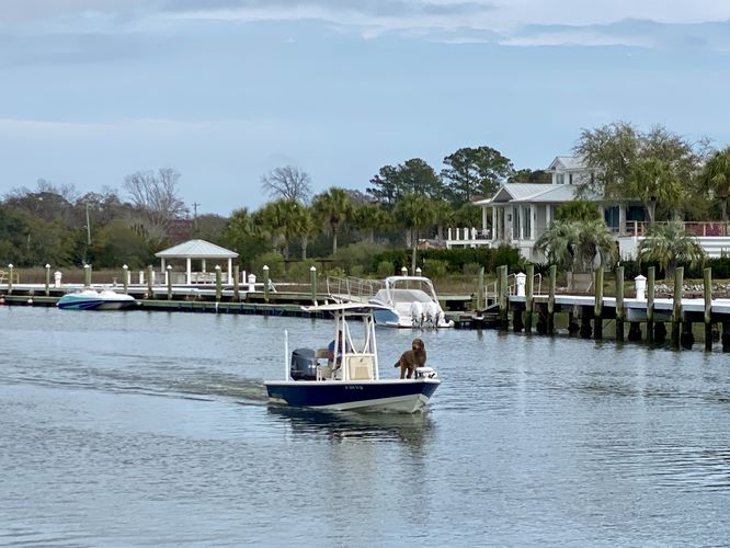 Boat w/dog in Shem Creek