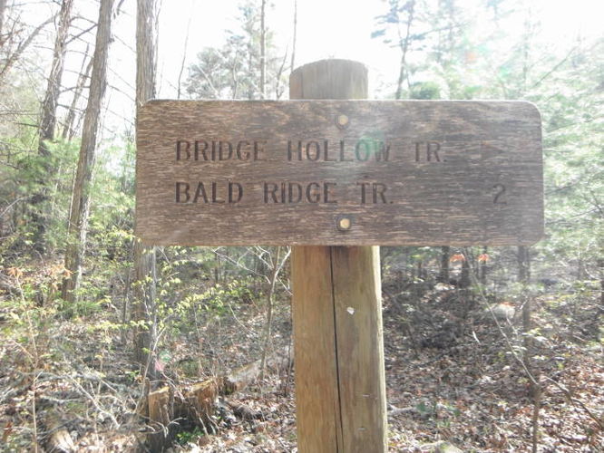 Picture 75 of Shenandoah Mountain Hike 042813