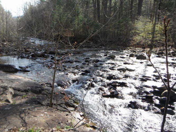 Picture 77 of Shenandoah Mountain Hike 042813