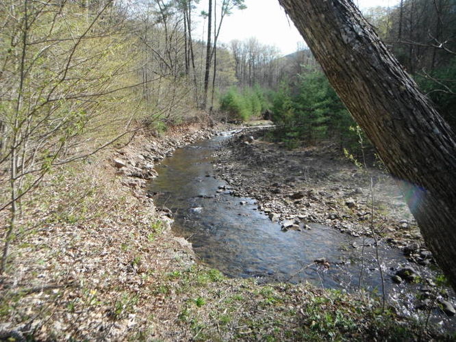 Picture 79 of Shenandoah Mountain Hike 042813