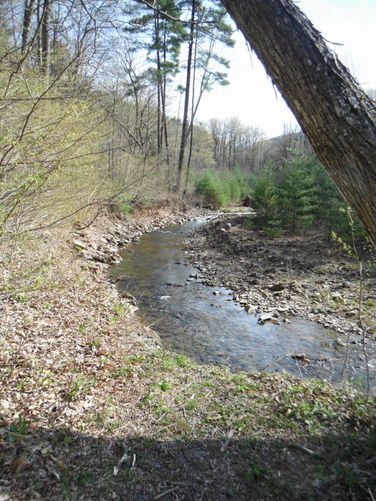 Picture 67 of Shenandoah Mountain Hike 042813