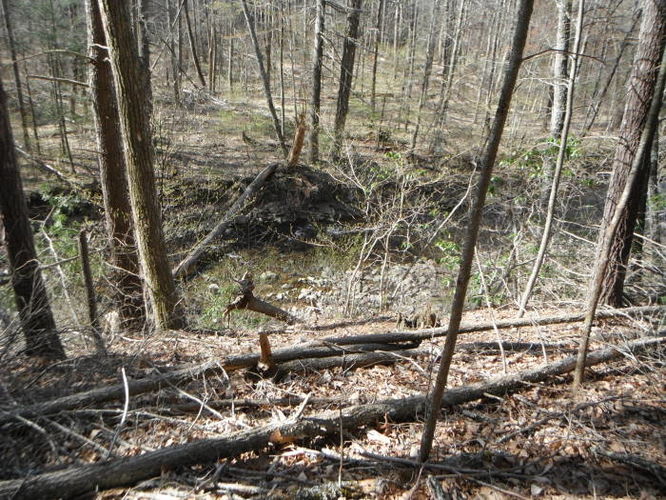 Picture 69 of Shenandoah Mountain Hike 042813