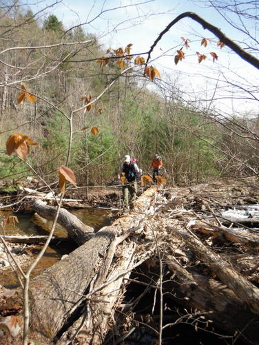 Picture 70 of Shenandoah Mountain Hike 042813