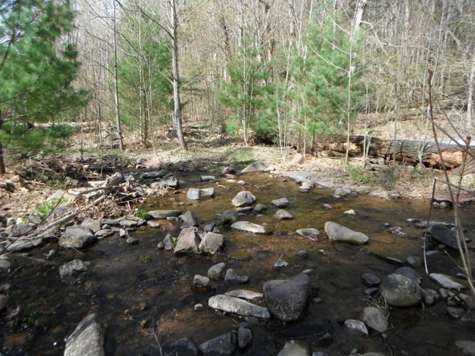 Picture 71 of Shenandoah Mountain Hike 042813