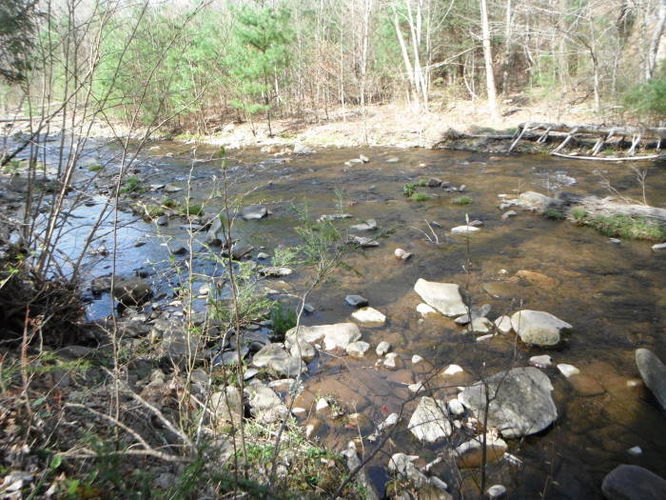 Picture 72 of Shenandoah Mountain Hike 042813