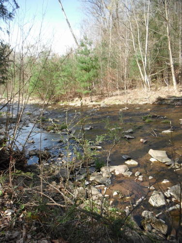 Picture 73 of Shenandoah Mountain Hike 042813