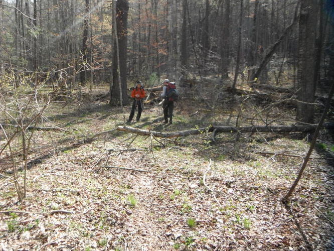 Picture 60 of Shenandoah Mountain Hike 042813