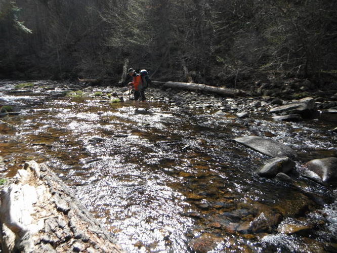 Picture 62 of Shenandoah Mountain Hike 042813