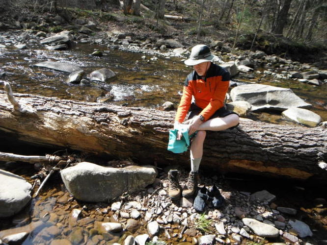 Picture 63 of Shenandoah Mountain Hike 042813