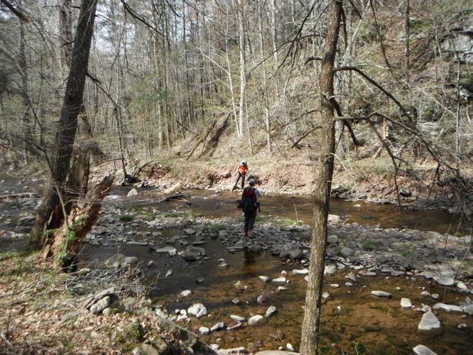 Picture 66 of Shenandoah Mountain Hike 042813