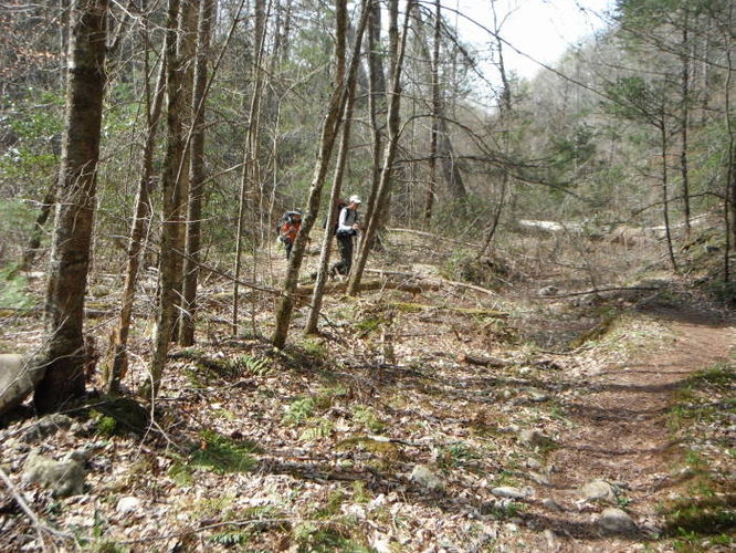 Picture 53 of Shenandoah Mountain Hike 042813