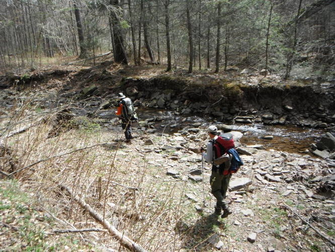 Picture 56 of Shenandoah Mountain Hike 042813