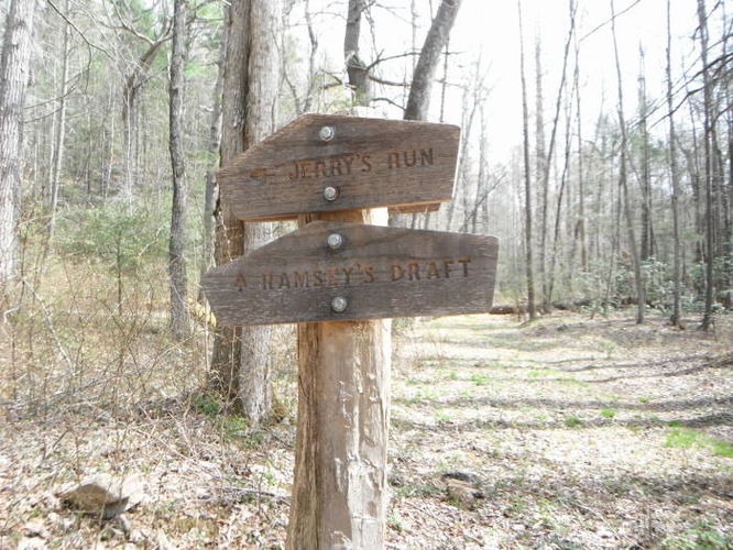 Picture 57 of Shenandoah Mountain Hike 042813