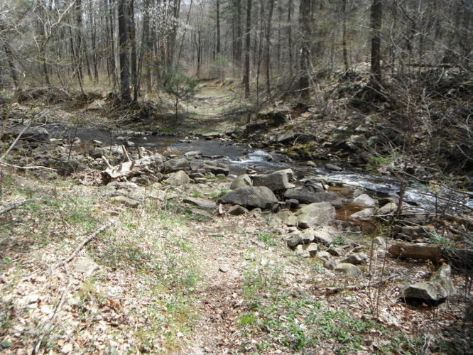 Picture 58 of Shenandoah Mountain Hike 042813