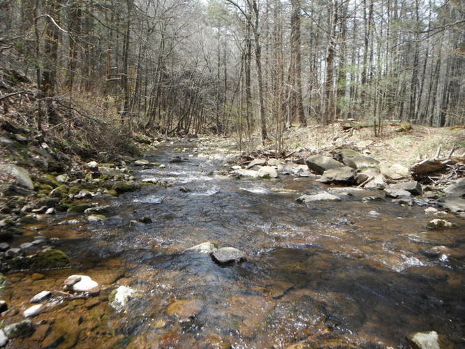 Picture 59 of Shenandoah Mountain Hike 042813