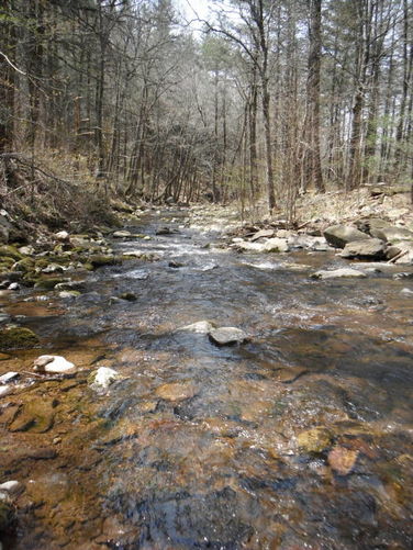 Picture 46 of Shenandoah Mountain Hike 042813