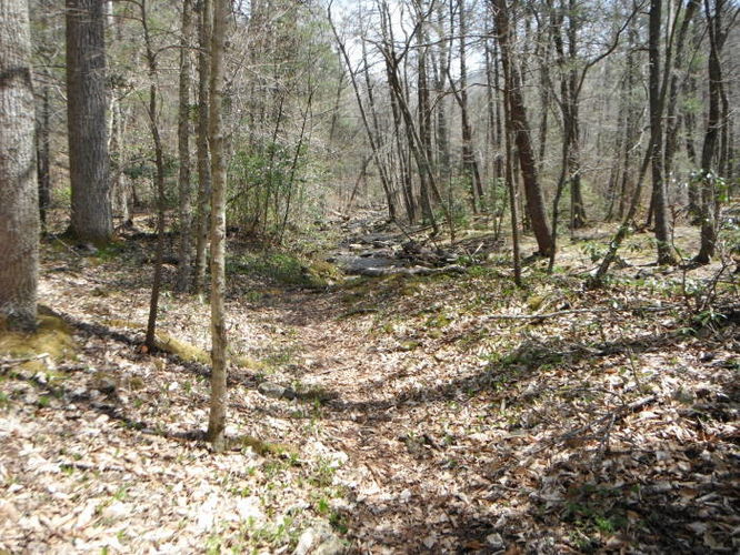 Picture 47 of Shenandoah Mountain Hike 042813