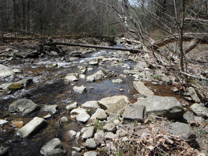 Picture 48 of Shenandoah Mountain Hike 042813