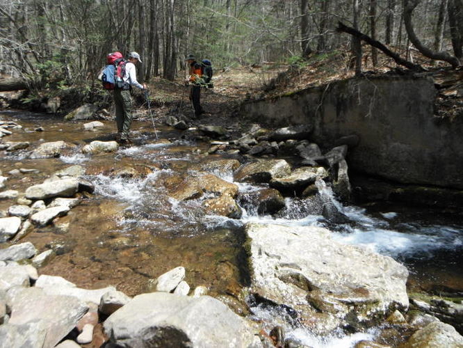 Picture 50 of Shenandoah Mountain Hike 042813