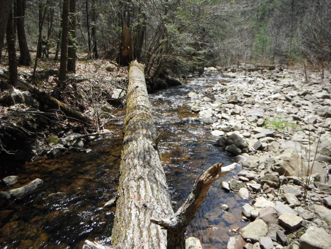 Picture 51 of Shenandoah Mountain Hike 042813