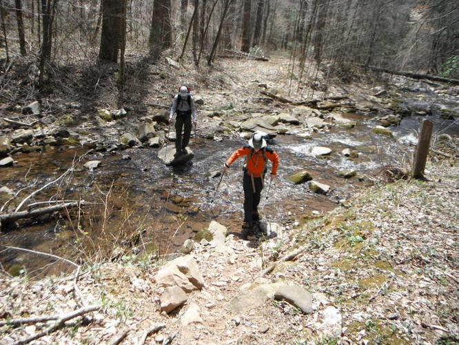 Picture 52 of Shenandoah Mountain Hike 042813