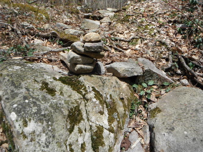 Picture 38 of Shenandoah Mountain Hike 042813