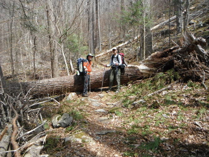 Picture 39 of Shenandoah Mountain Hike 042813