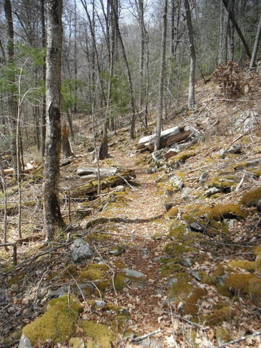 Picture 40 of Shenandoah Mountain Hike 042813