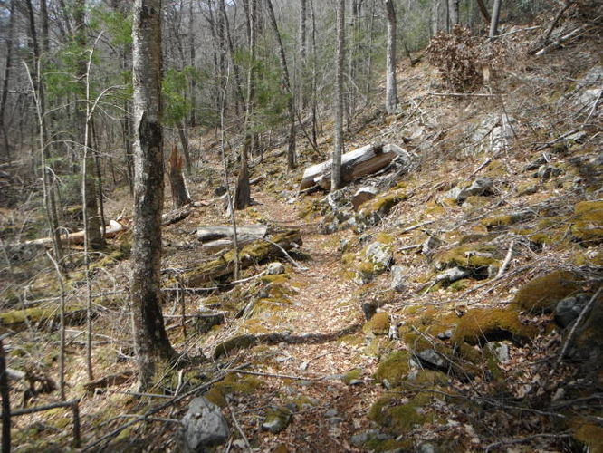 Picture 41 of Shenandoah Mountain Hike 042813