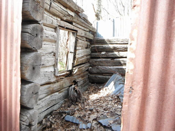 Picture 35 of Shenandoah Mountain Hike 042813