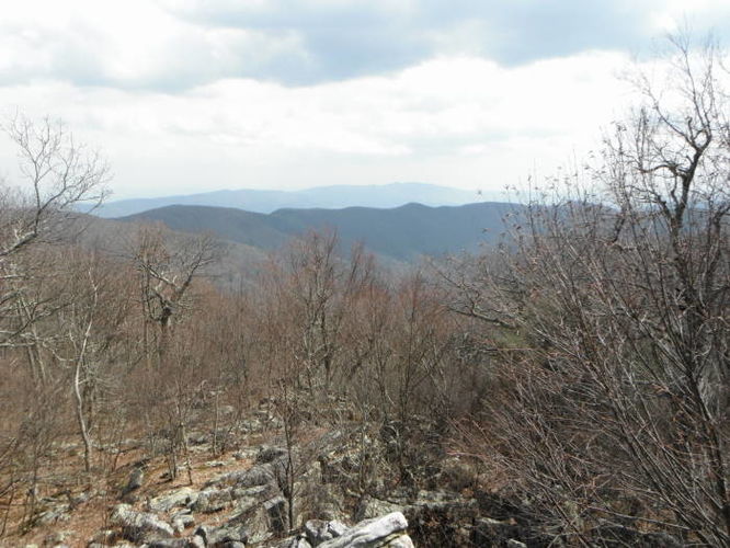 Default image for Shenandoah Mountain Hike, a 15.8-mile trail in West Augusta, VA (US)