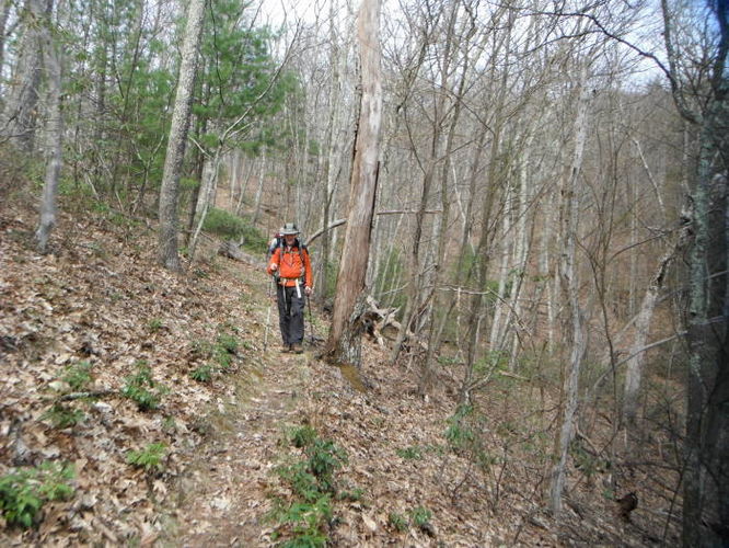 Picture 37 of Shenandoah Mountain Hike 042813