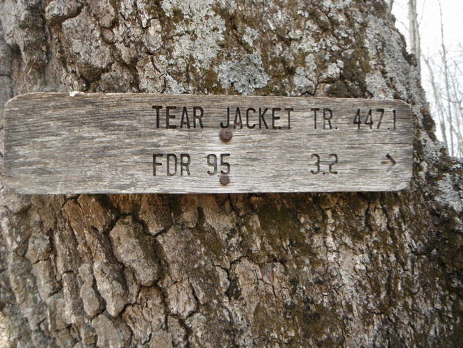 Picture 25 of Shenandoah Mountain Hike 042813