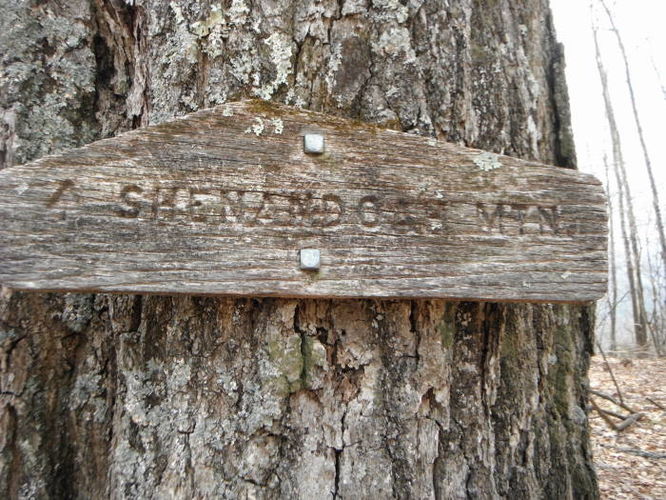Picture 27 of Shenandoah Mountain Hike 042813