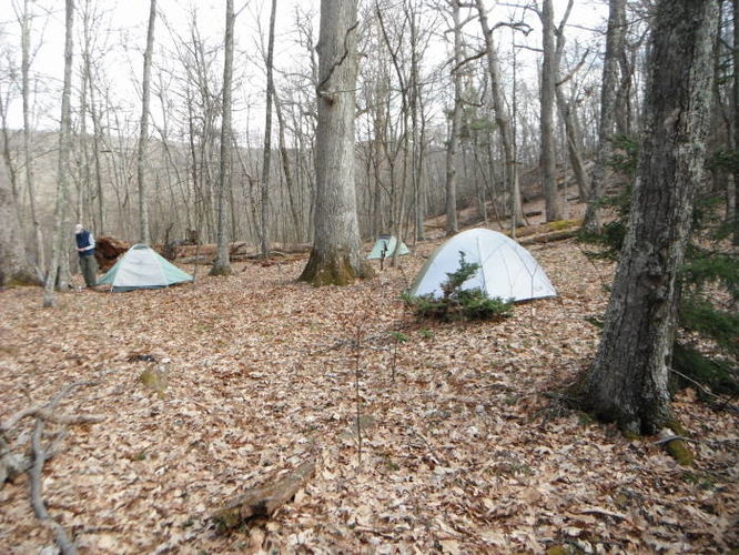 Picture 29 of Shenandoah Mountain Hike 042813