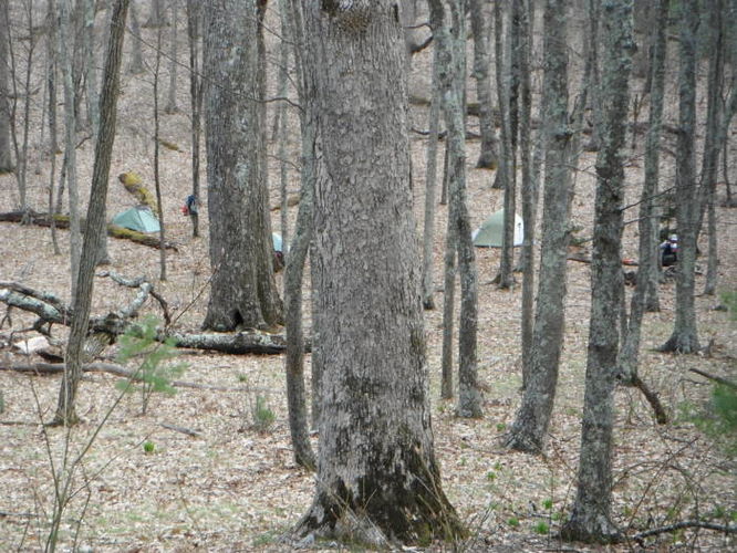 Picture 31 of Shenandoah Mountain Hike 042813