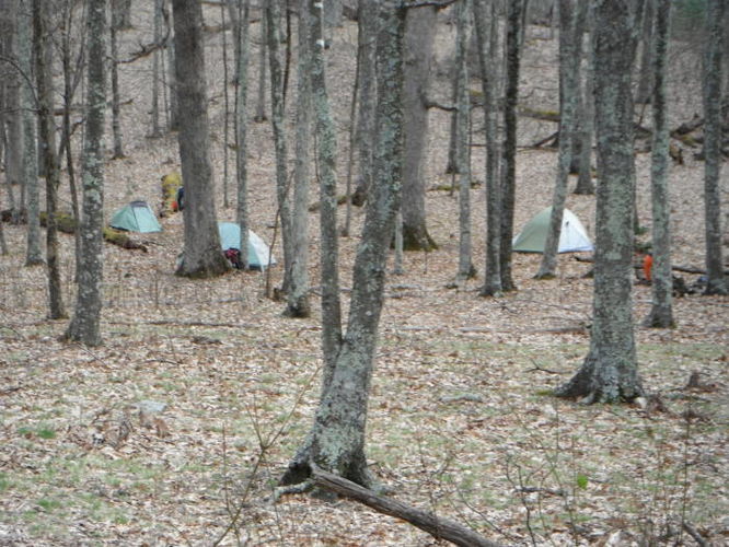 Picture 17 of Shenandoah Mountain Hike 042813