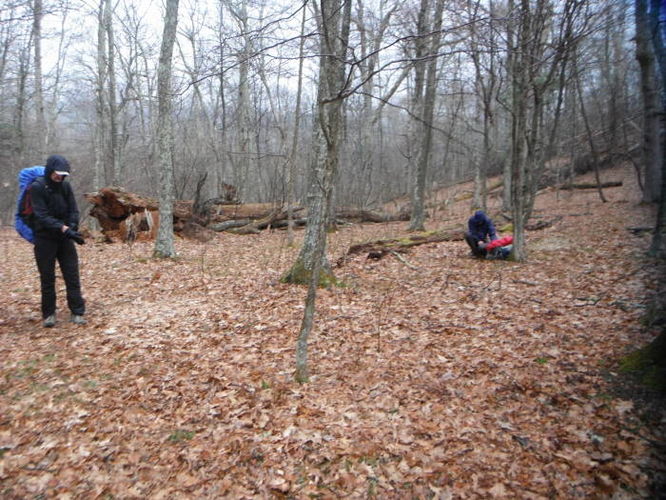 Picture 18 of Shenandoah Mountain Hike 042813