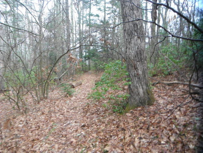 Picture 19 of Shenandoah Mountain Hike 042813